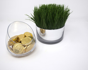 Chocolate Gold Coins