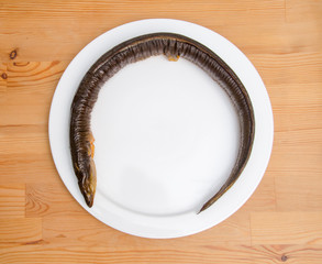 Aal-Geräuchert-Fisch-Lebensmittel