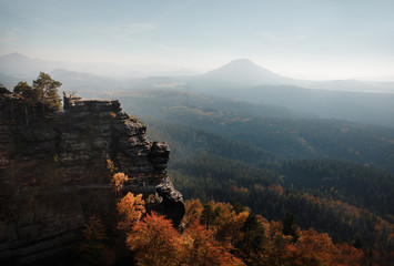 A view of the mountainside. Trees in autumn