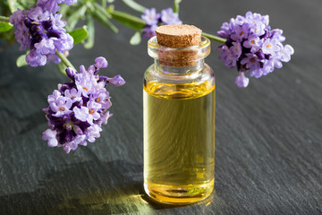 A bottle of lavender essential oil with fresh lavender twigs