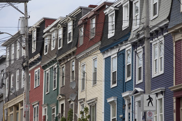 Fototapeta premium Newfoundland