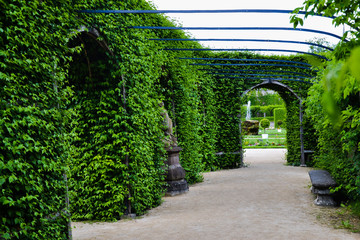 Fototapeta na wymiar Würzburg garden