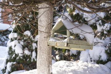 Animal feeder in the winter forest.