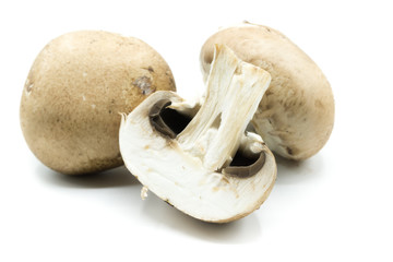 Braun Champignon Champignons isoliert freigestellt auf weißen Hintergrund, FreistellerVe