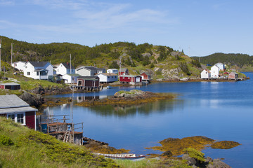 Fototapeta na wymiar Newfoundland