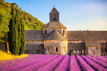 Abbey of Senanque blooming lavender flowers on sunset. Gordes, Luberon, Provence, France.