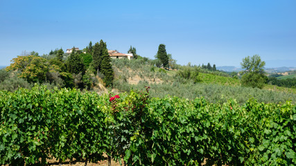Fototapeta na wymiar Krajobrazy Toskanii