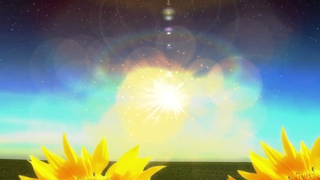 1965 Flying Into Heaven with Sunflowers Glowing, 4K
