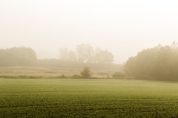 Fototapeta na wymiar Autumnal fog