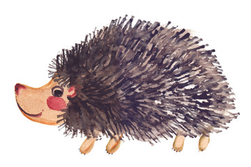 Cute cartoon smiling hedgehog painted in watercolor on clean white background © tina bits