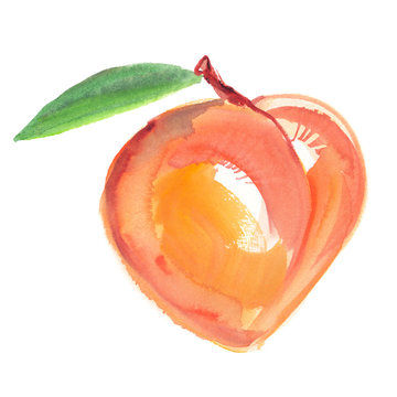 Bright round ripe peach with one green leaf on top painted in watercolor on clean white background
