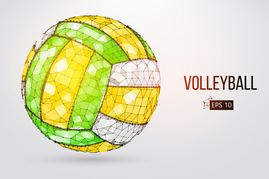 Silhouette of a volleyball ball. Dots, lines, triangles, text, color effects and background on a separate layers, color can be changed in one click. Vector illustration.