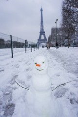 A Snowman under the Eiffel tower