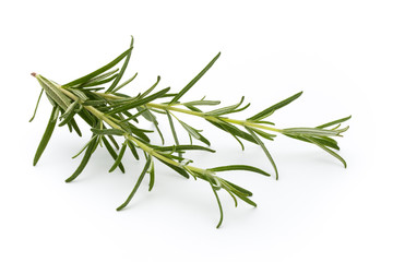 Rosemary isolated on white background, Top view.