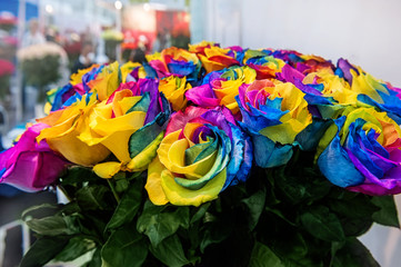 A bouquet of roses of exotic multi colors. Chameleon flowers with colored petals at the edges.