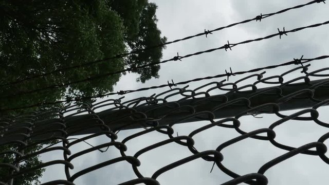 1997 Barbed Wire Fence Prison Boundary, 4K