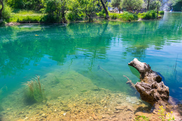 A huge old snag is sticking out under the water.