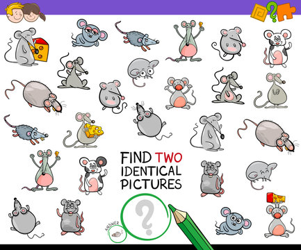 find two identical mice educational activity