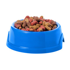 Food for dogs and cats in a blue bowl