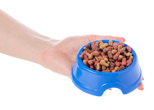 Food for dogs and cats in a blue bowl in hand