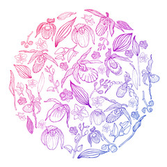 Hand drawn set of orchid flowers in circle shape with gradient .