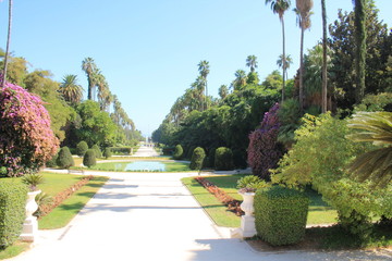 Jardin botanique d'Alger, Algérie © Picturereflex