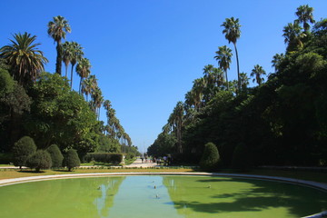 Jardin botanique d'Alger, Algérie © Picturereflex
