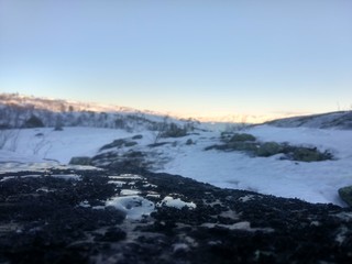 Wild arctic nature of Norway