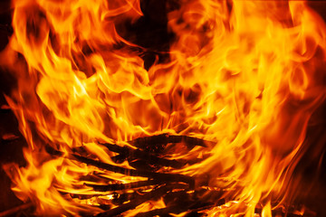 Shot of burning firewood in fireplace