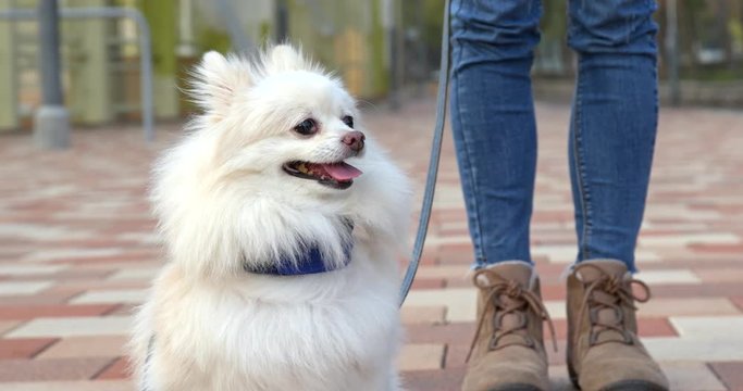 Woman going out with pomeranian dog