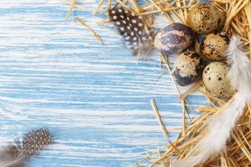 Nest with Easter eggs on blue wooden background, top view with copy space