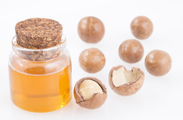 Oil and macadamia nuts (Macadamia integrifolia)