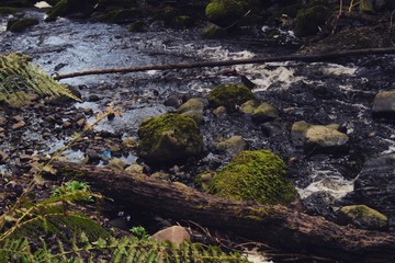 nature