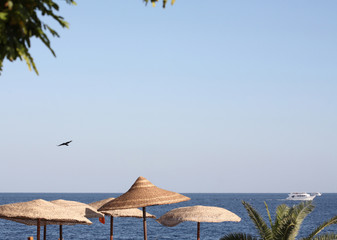  Sea landscape, Egypt, Sharm El Sheikh