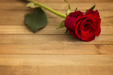 Beautiful Red Valentines Single Stem Rose on a Wooden Table