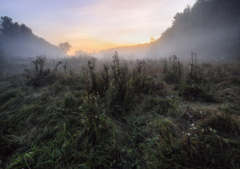 Obraz premium autumn morning. dawn by the river. picturesque fog