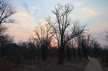 The African sunset. Zambia
