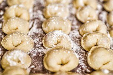 Fototapeta na wymiar dumplings in raws on a wooden table covered with flour