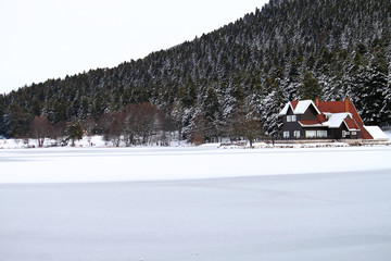 Lake home in forest