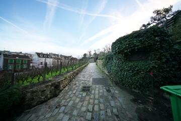 Paris,France-January 23, 2018: Vignes du Clos Montmartre, the oldest vineyard in Montmartre, Paris