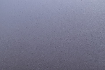 Glass frost in the morning