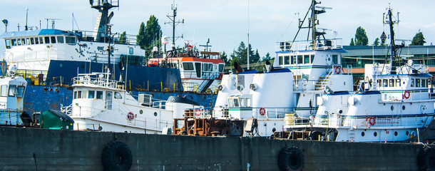 Pilot Houses of Tugs in Seattle's Lake Union © Cliff