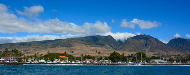 Panorama - Lahaina, Maui, Washington