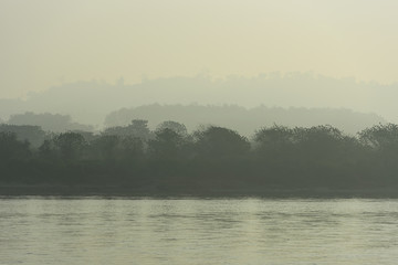 layer of tree in morning in winter with river in foreground with mist and fog,suitable for background and texture