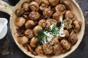 Closeup of fried champignon and chanterelle mushrooms with addition of sour cream and fresh parsley, view from above