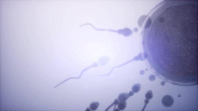 sperm and egg cell. frosen microscopic research