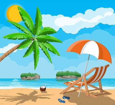 Landscape of palm tree on beach