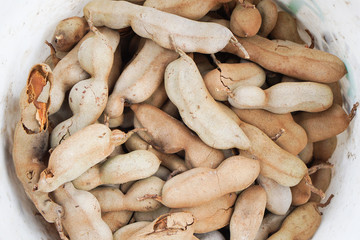Group of ripe tamarind pods on the white plastic bucket .