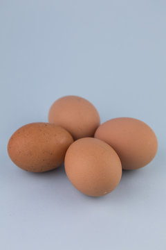 whole eggs of organic farming