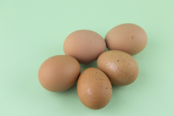 whole eggs of organic farming